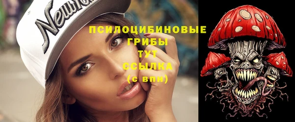 ПСИЛОЦИБИНОВЫЕ ГРИБЫ Снежногорск